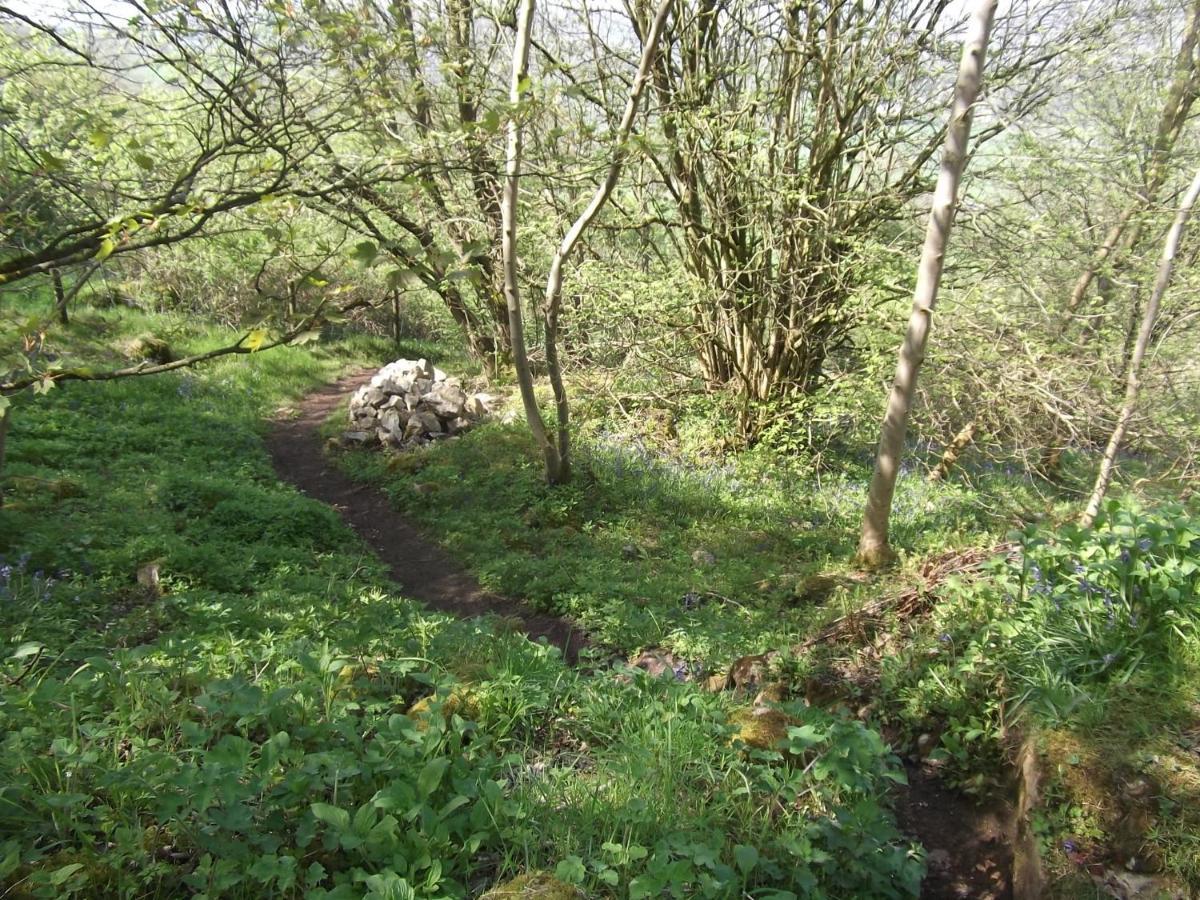 Hall Dale View Near Matlock & Peak District المظهر الخارجي الصورة